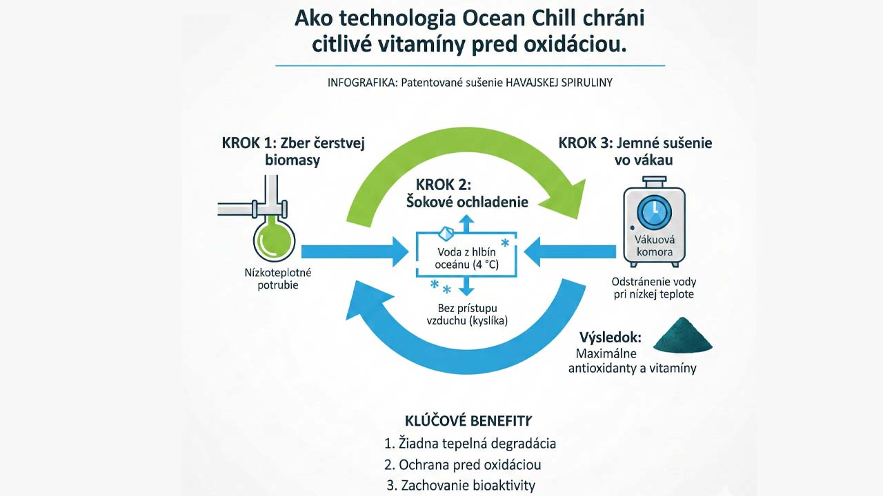 Prečo je havajská spirulina najlepší zdroj vitamínov? 4 Infografika procesu Ocean Chill sušenia pri nízkych teplotách bez prístupu kyslíka