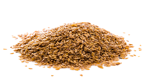 Prečo bola pšenica upravená?