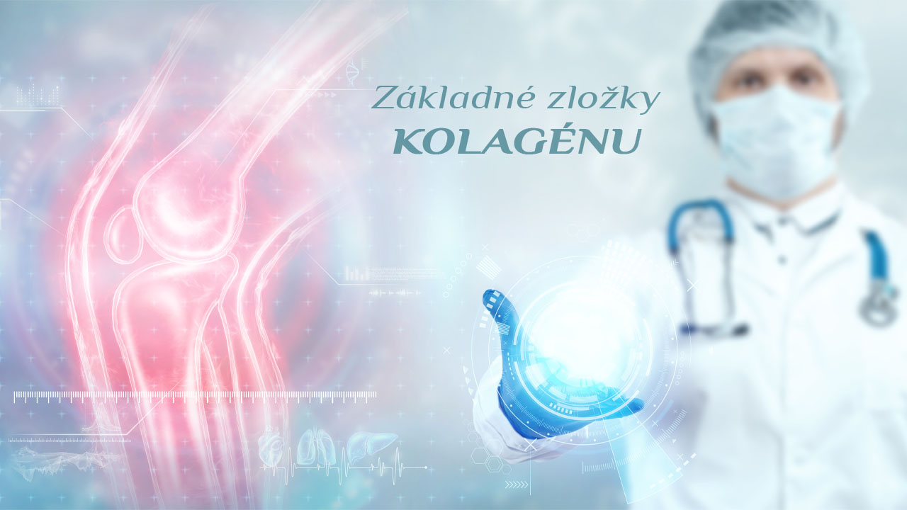 Základné zložky kolagénu - Glycín, prolín, hydroxyprolín a hydroxylyzín