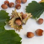 Lieskové orechy: 12 zdravotných benefitov