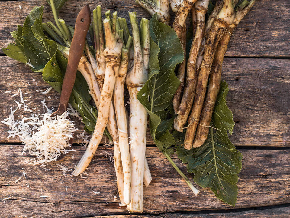 Chren: Zabudnutý poklad predkov, ktorý lieči telo aj dušu