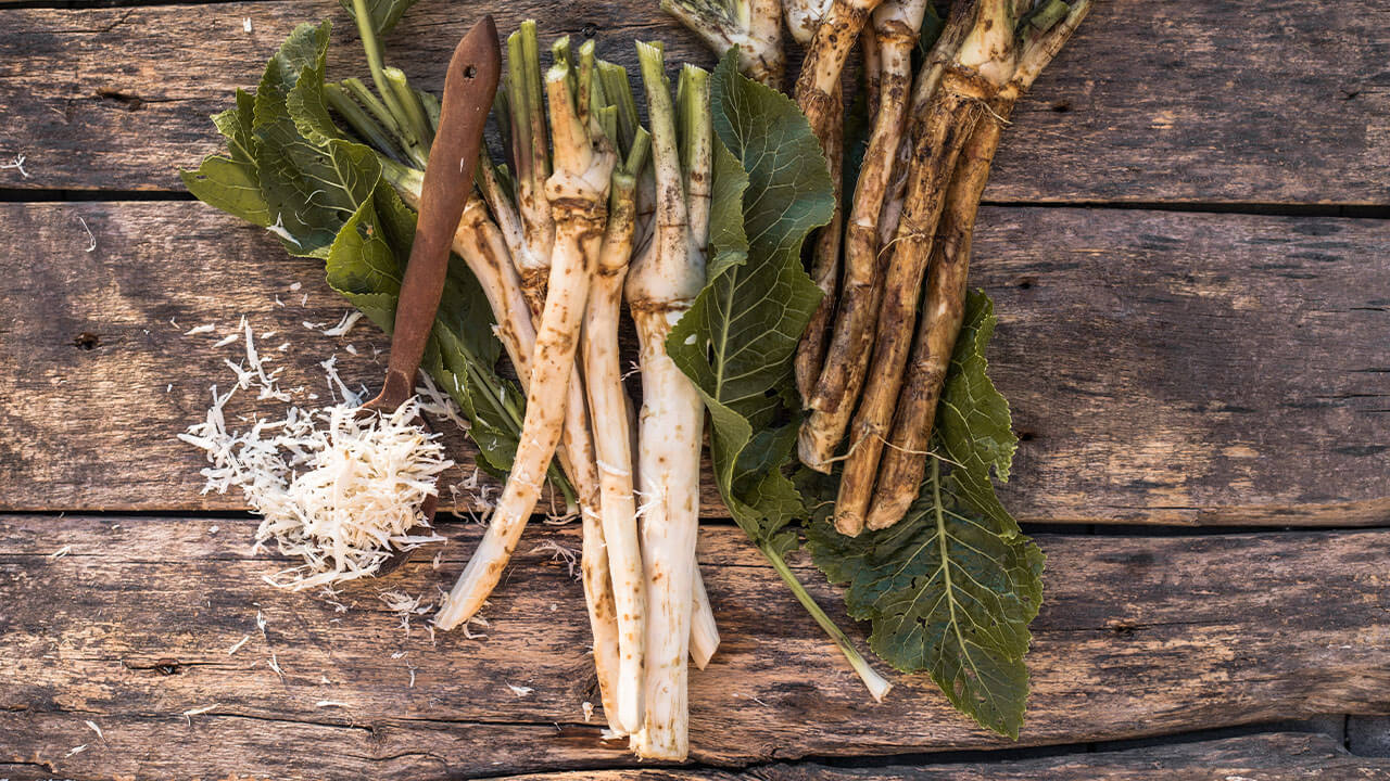 Chren: Zabudnutý poklad predkov, ktorý lieči telo aj dušu 2 Chren: Zabudnutý poklad predkov, ktorý lieči telo aj dušu