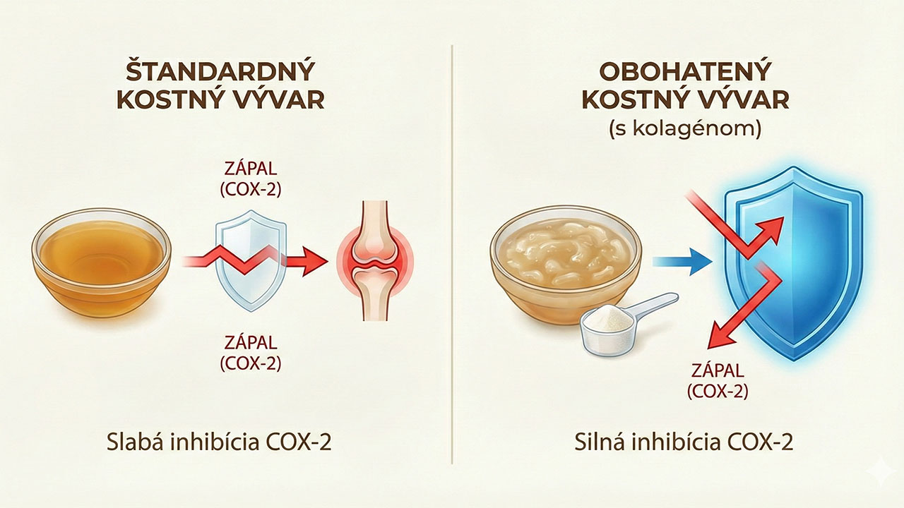 Pijete domáci vývar, no kolená stále bolia? Kde robíme chybu? 3 Porovnanie bežného vývaru a obohateného vývaru, graf účinnosti na zápal COX-2