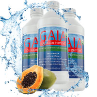 Gaia collagen protein obohatený o papaín - výhodné 3 mesačné balenie